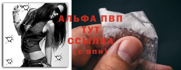 СК Волосово