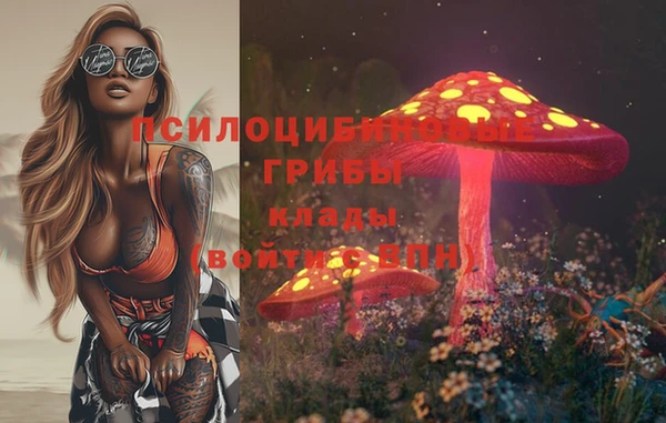 ПСИЛОЦИБИНОВЫЕ ГРИБЫ Волоколамск