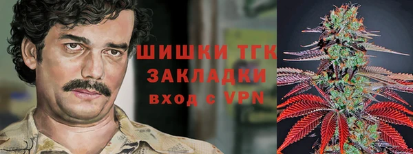 СК Волосово
